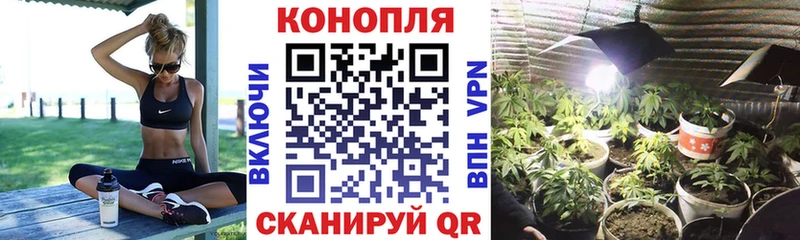 Купить закладку Псилоцибиновые грибы  МЕФ  СОЛЬ  Чернушка